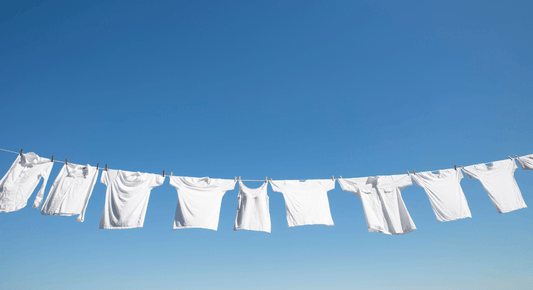 Wäschetrockner und Wäscheständer: Die Vor- und Nachteile - bluu - Die Waschsensation