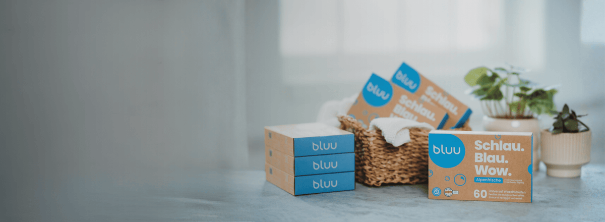 banneri del sito Shopify 2800x900.png__PID:f9bf3892-f424-4776-a154-c81d35634546